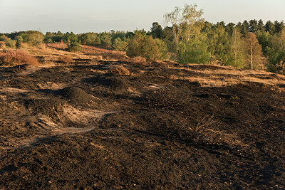 BUITEN BEELD Foto: 429291