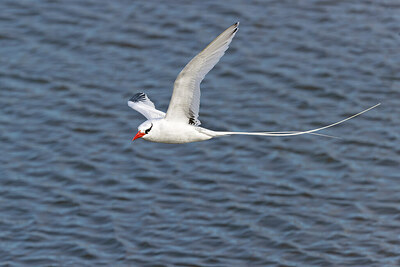 BUITEN BEELD Foto: 429331