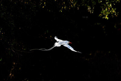 BUITEN BEELD Foto: 429334