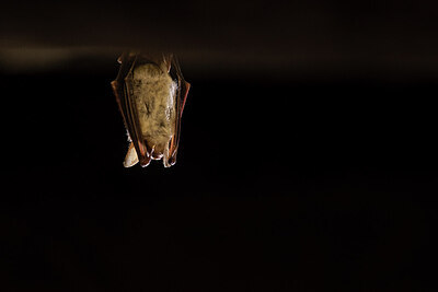 BUITEN BEELD Foto: 429339