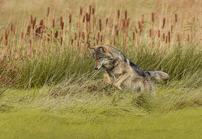 BUITEN BEELD Foto: 429363