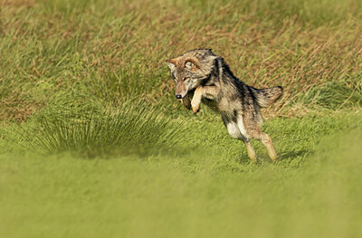 BUITEN BEELD Foto: 429364