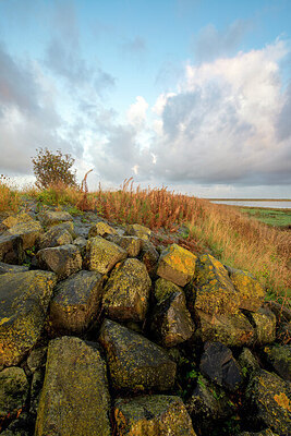 BUITEN BEELD Foto: 429378