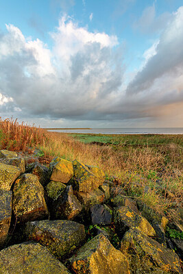 BUITEN BEELD Foto: 429381