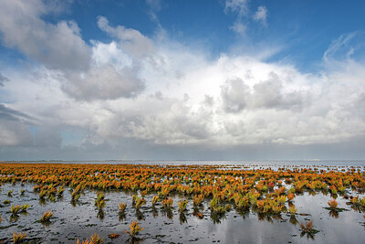 BUITEN BEELD Foto: 429382