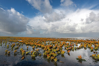 BUITEN BEELD Foto: 429383