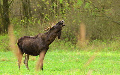 BUITEN BEELD Foto: 429401