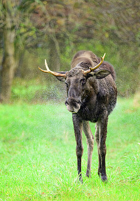 BUITEN BEELD Foto: 429404