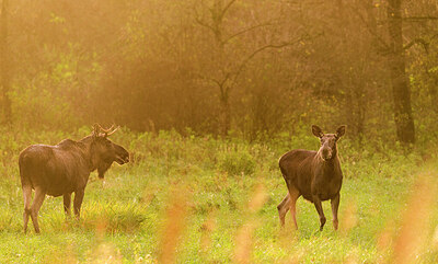 BUITEN BEELD Foto: 429410