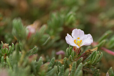 BUITEN BEELD Foto: 429435