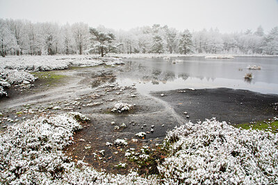 BUITEN BEELD Foto: 429478