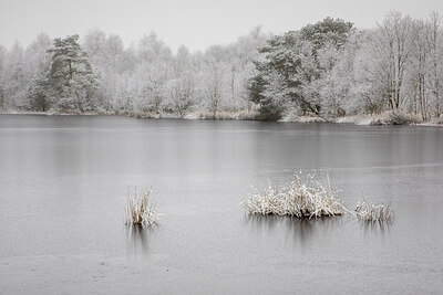 BUITEN BEELD Foto: 429479