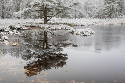 BUITEN BEELD Foto: 429480