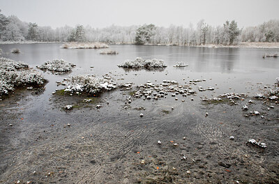 BUITEN BEELD Foto: 429482