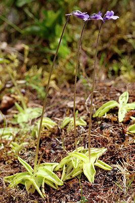 BUITEN BEELD Foto: 429489