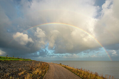 BUITEN BEELD Foto: 429549