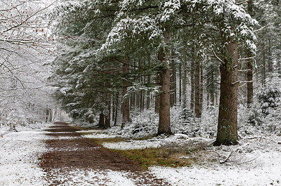 BUITEN BEELD Foto: 429558