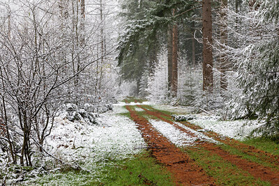 BUITEN BEELD Foto: 429563