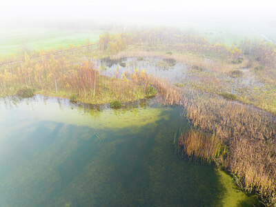 BUITEN BEELD Foto: 429612