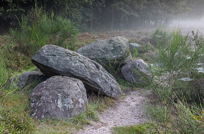 BUITEN BEELD Foto: 429620