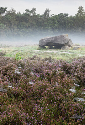 BUITEN BEELD Foto: 429624