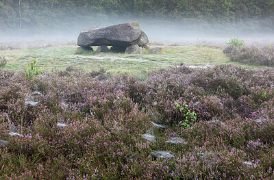 BUITEN BEELD Foto: 429625