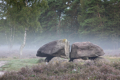 BUITEN BEELD Foto: 429626