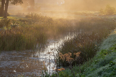 BUITEN BEELD Foto: 429681