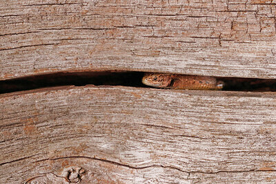 BUITEN BEELD Foto: 429693