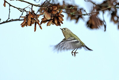 BUITEN BEELD Foto: 429716