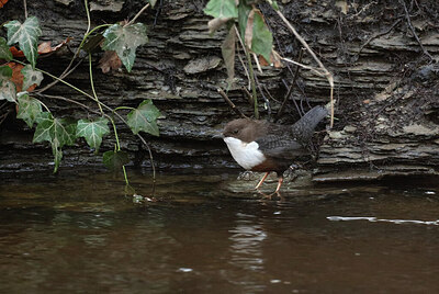 BUITEN BEELD Foto: 429763