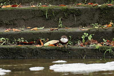 BUITEN BEELD Foto: 429773