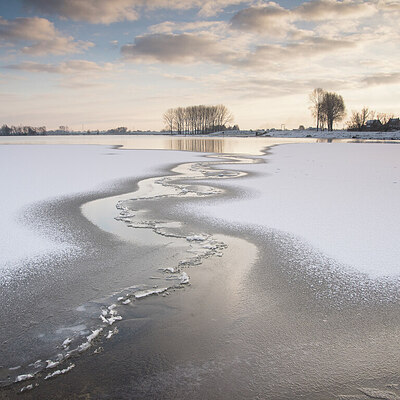 BUITEN BEELD Foto: 429835