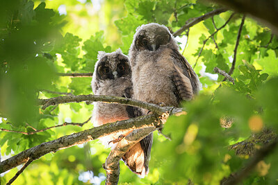 BUITEN BEELD Foto: 429921