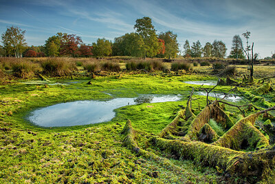 BUITEN BEELD Foto: 430039