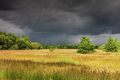 BUITEN BEELD Foto: 430049