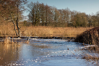 BUITEN BEELD Foto: 430076