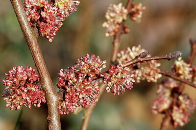 BUITEN BEELD Foto: 430106