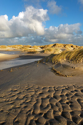BUITEN BEELD Foto: 430138