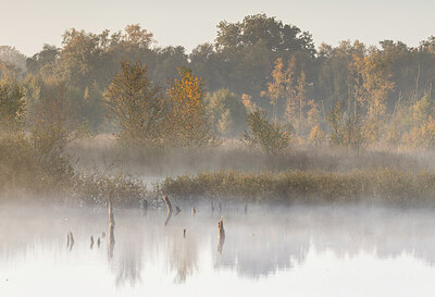 BUITEN BEELD Foto: 430173