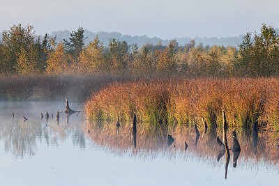 BUITEN BEELD Foto: 430174