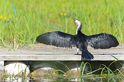 BUITEN BEELD Foto: 430373