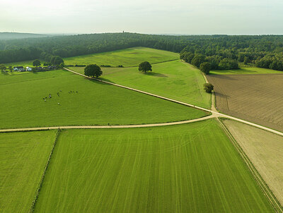 BUITEN BEELD Foto: 430400