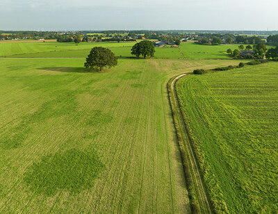 BUITEN BEELD Foto: 430401