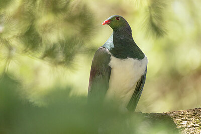 BUITEN BEELD Foto: 430407