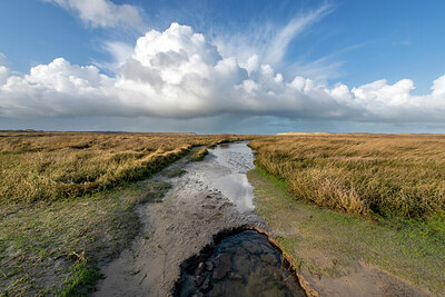 BUITEN BEELD Foto: 430430