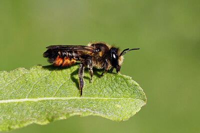 BUITEN BEELD Foto: 430446