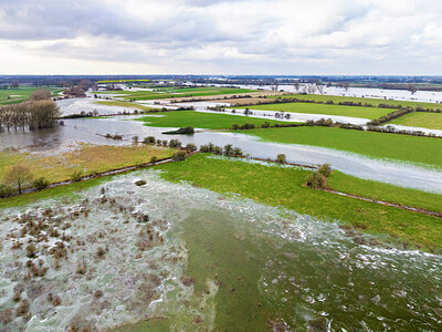 BUITEN BEELD Foto: 430454