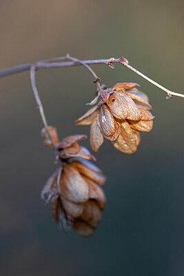 BUITEN BEELD Foto: 430491