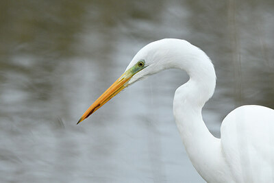 BUITEN BEELD Foto: 430516